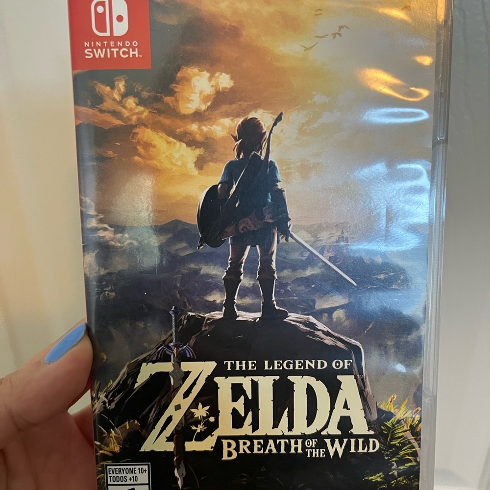 Zelda Breath of the Wild game